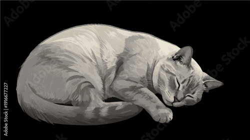 A vector illustration of light-colored cat with closed eyes sleeps curled up on a transparent background.