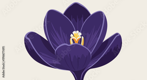 Close-up of a Vibrant Purple Crocus Flower in Bloom.