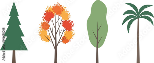 Four different types of trees with various leaf colors and shapes  evergreen pine tree and palm tree with green leaves and deciduous trees with orange and yellow leaves