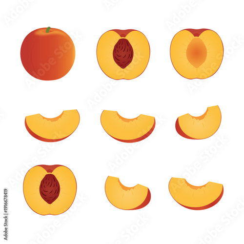 Peach Fruit Set with Whole, Half and Sliced Peaches – Fresh Peach Flat Vector Illustration