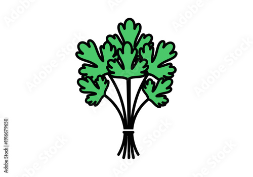 Bunch of Fresh Green Parsley Herb Leaves.