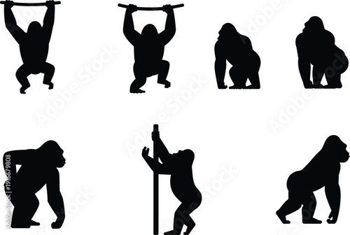 Gorilla silhouettes collection with standing, climbing and sitting poses isolated on white background vector illustration wild animal set