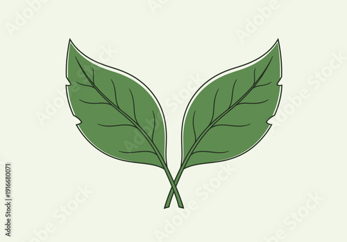 Two Green Leaves Symbolizing Nature and Growth.