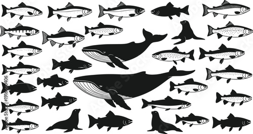 Vector illustration of marine animals, whales, seals, and diverse fish species, detailed monochrome artwork showcasing ocean wildlife biodiversity