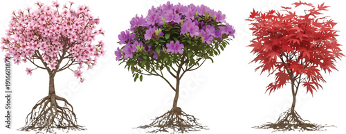 Three small trees with different colored flowers and leaves  pink purple red  isolated on transparent background