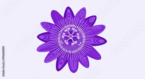 Vibrant Purple Passion Flower Isolated on White Background.