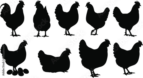 Chicken silhouette illustration, standing and walking bird poses, eggs with hen, black vector animal art, creative farm design icons collection