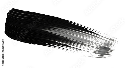Single black paint brush stroke with textured bristles
