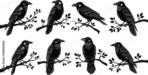 Black silhouette raven birds perched on tree branches set, detailed wildlife illustration isolated on white background for nature, tattoo, and graphic design projects