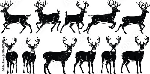 Deer silhouette illustration, running and standing poses, antlered wildlife characters, black vector animal art, creative nature design icons collection