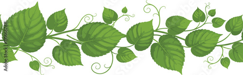   
Decorative green leaves and curly vines illustration, nature foliage vector art, botanical design element for borders, frames, and embellishments