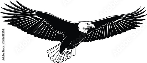 Detailed bald eagle illustration flying with wings spread, iconic wildlife vector design, patriotic nature art, isolated decorative graphic symbol