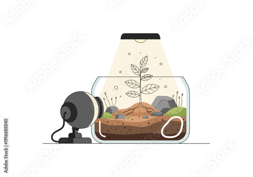 Terrarium Plant Growth Under Artificial Light Source.