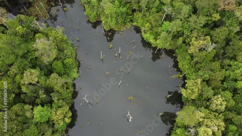 the peatland lake