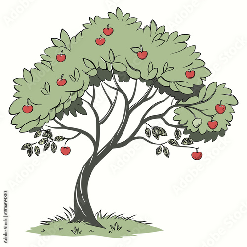 Ripe Apple Tree with Red Apples, Illustration