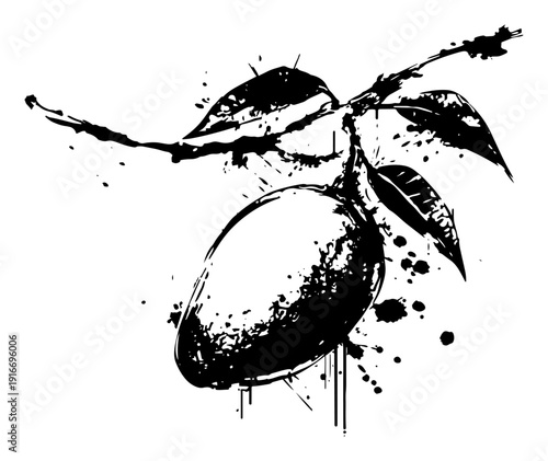 Fresh mango fruit hanging on a branch in black ink splatter art