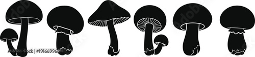 Variety of mushroom silhouettes on white background