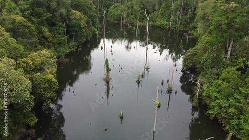 rainforest lake