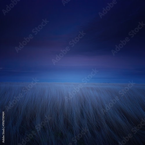 Serene blue hour landscape with tall grass under dramatic night sky