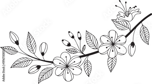 Sketch Floral Botany Collection. flower drawings. Black and white with line art on white backgrounds. Hand Drawn Botanical Illustrations. Vector