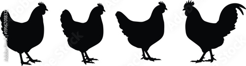 Four chickens silhouette vector illustration, black poultry artwork, farming animal design, traditional agriculture symbol, decorative background pattern