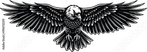 Frontal eagle in flight vector illustration, detailed black and white bird artwork, symmetrical wings design, wildlife symbol background pattern