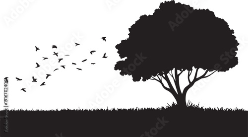 Tree silhouette with birds flying