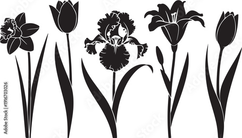 Vector black silhouettes of spring flowers (tulips, narcissus and iris) isolated on a white background