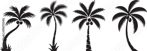 Vector icons set of tropical palm trees. silhouette collection of coconut palms