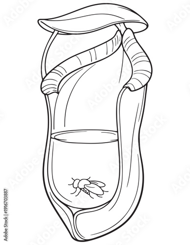 Detailed line art of a carnivorous pitcher plant trapping an insect for coloring