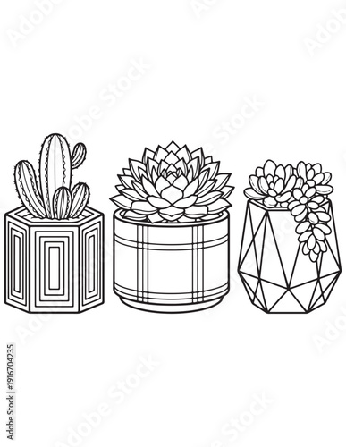 Detailed line art coloring page of potted succulents and cactus in geometric planters