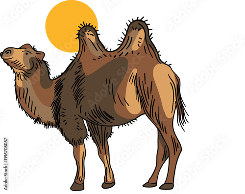 Vector illustration of a camel with line work, warm colors and sunset 