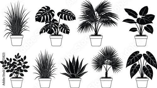 Collection of indoor potted houseplants silhouettes, decorative tropical and leafy plants vector illustration set isolated