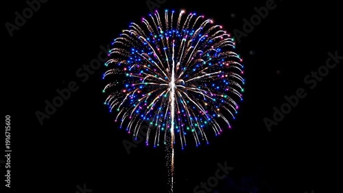 Colorful fireworks bloom in the night sky