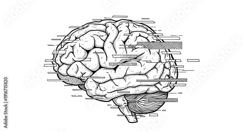 Detailed illustration of human brain anatomy with neural pathways