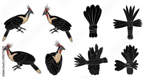 Vulture birds with bundles of feathers on white background symbolizing death and mourning