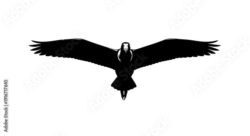 Silhouette of a large bird flying with outstretched wings on a white background symbolizing freedom and flight