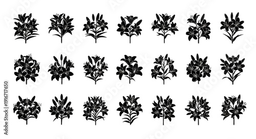 Collection of various black floral silhouettes on white background for design and decoration