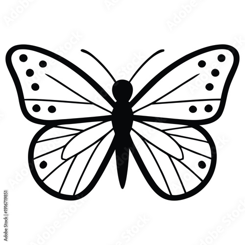 butterfly vector illustration