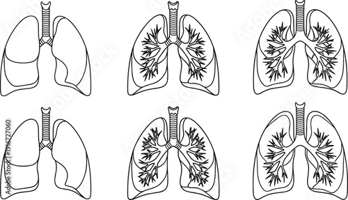 Human lungs anatomy line icons set with respiratory system medical vector illustration collection