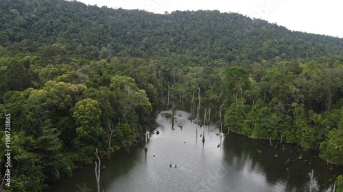 the rainforest hill and swamp lake