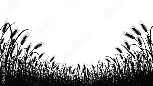 Beautiful black silhouette of a dense wheat field forming a border or frame against a clean white background for design.