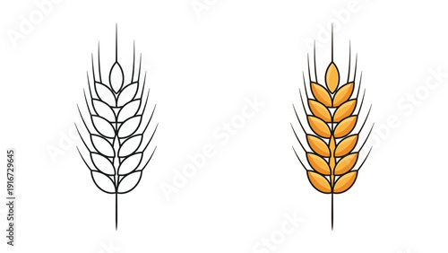Comparison illustration showing a line art version and a fully colored version of a golden wheat stalk against a white background.
