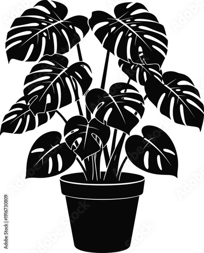 Minimalist black silhouette of a monstera deliciosa plant in a pot, tropical houseplant vector illustration for interior design,