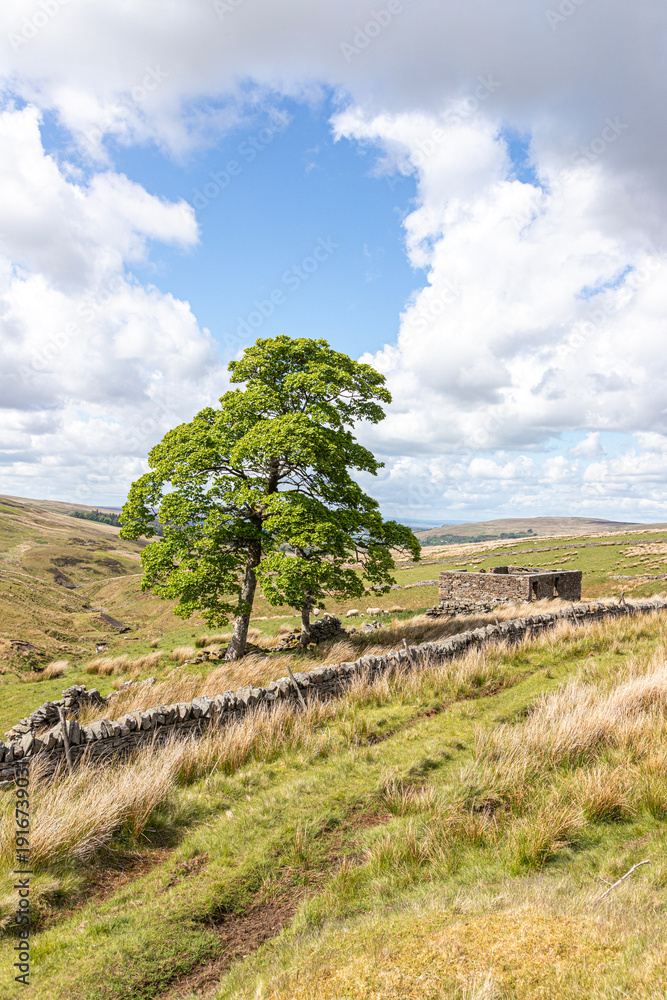 Fototapeta premium Isaacs Tea Trail on a public bridleway on Swinhope Moor on the North Pennines National Landscape (a UNESCO Global Geopark) near Coalcleugh, Northumberland, England UK