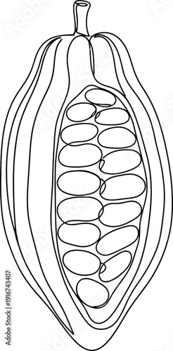 green chili vactor illustration 
Cocoa Pod Line Art Illustration with Beans Inside