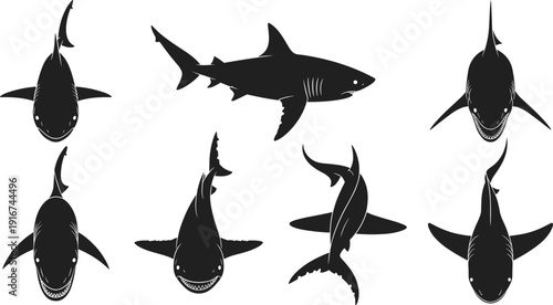 Great white shark silhouettes set isolated on white background, ocean predator collection, marine wildlife shapes, flat vector illustration design