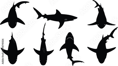 Shark silhouettes collection isolated on white background, ocean predator set, marine wildlife shapes, underwater animals, flat vector illustration design