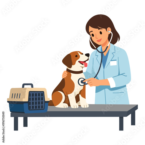 Female veterinarian examining dog with stethoscope.