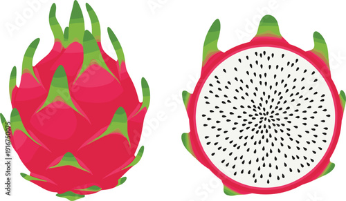 Detailed vector illustration of a whole pink dragon fruit with green scales and a sliced half showing white flesh with black seeds.